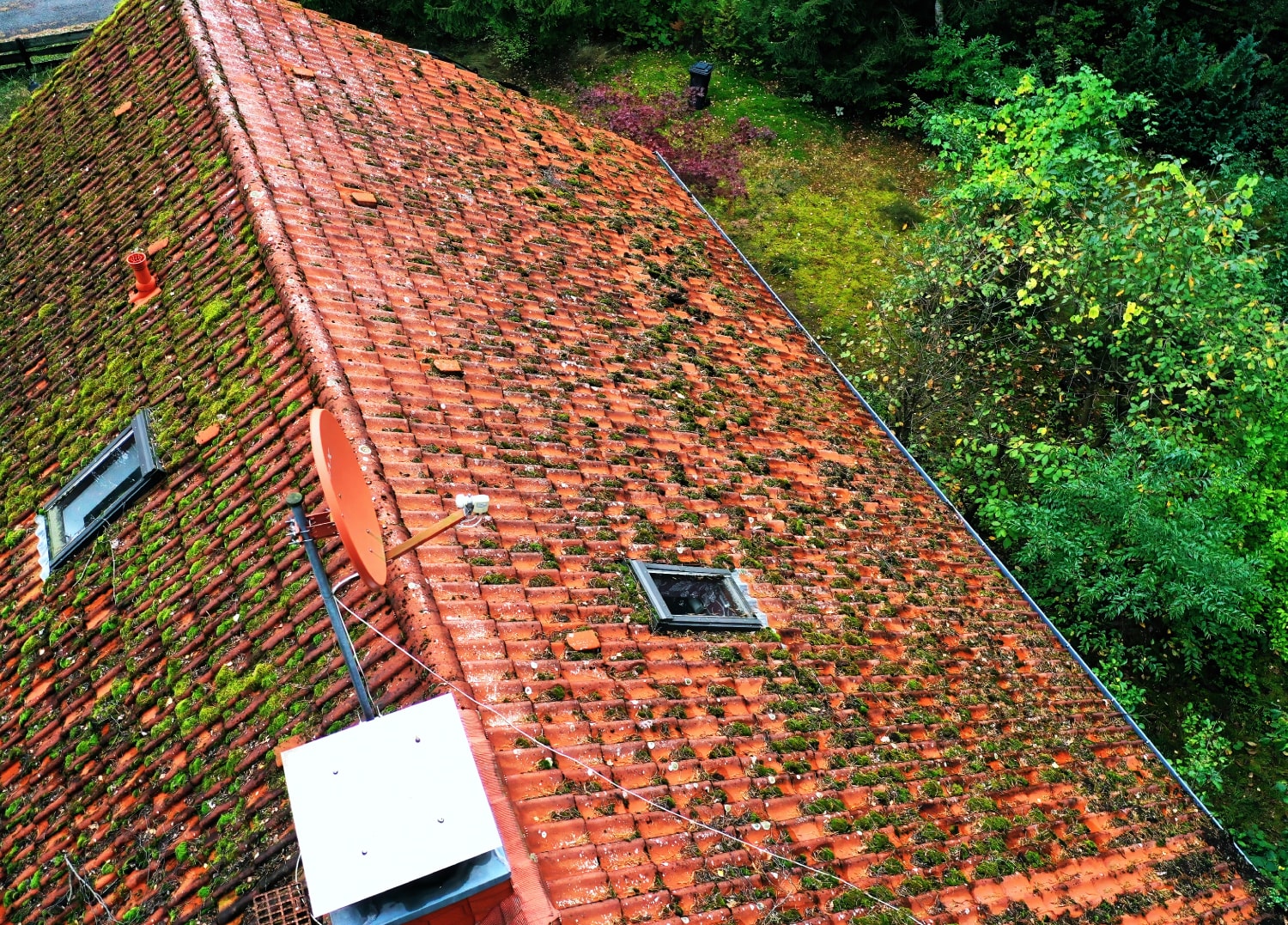 Redhill roofing roof cleaning moss removal get in touch